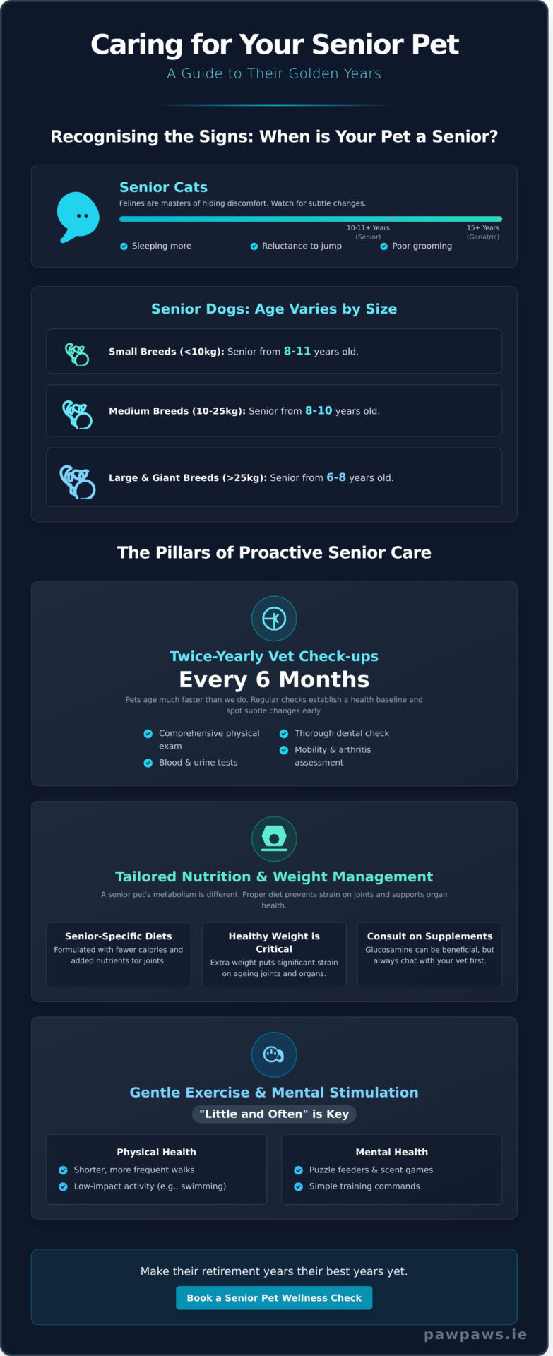 Senior Pet Care: A Vet’s Guide to Their Golden Years